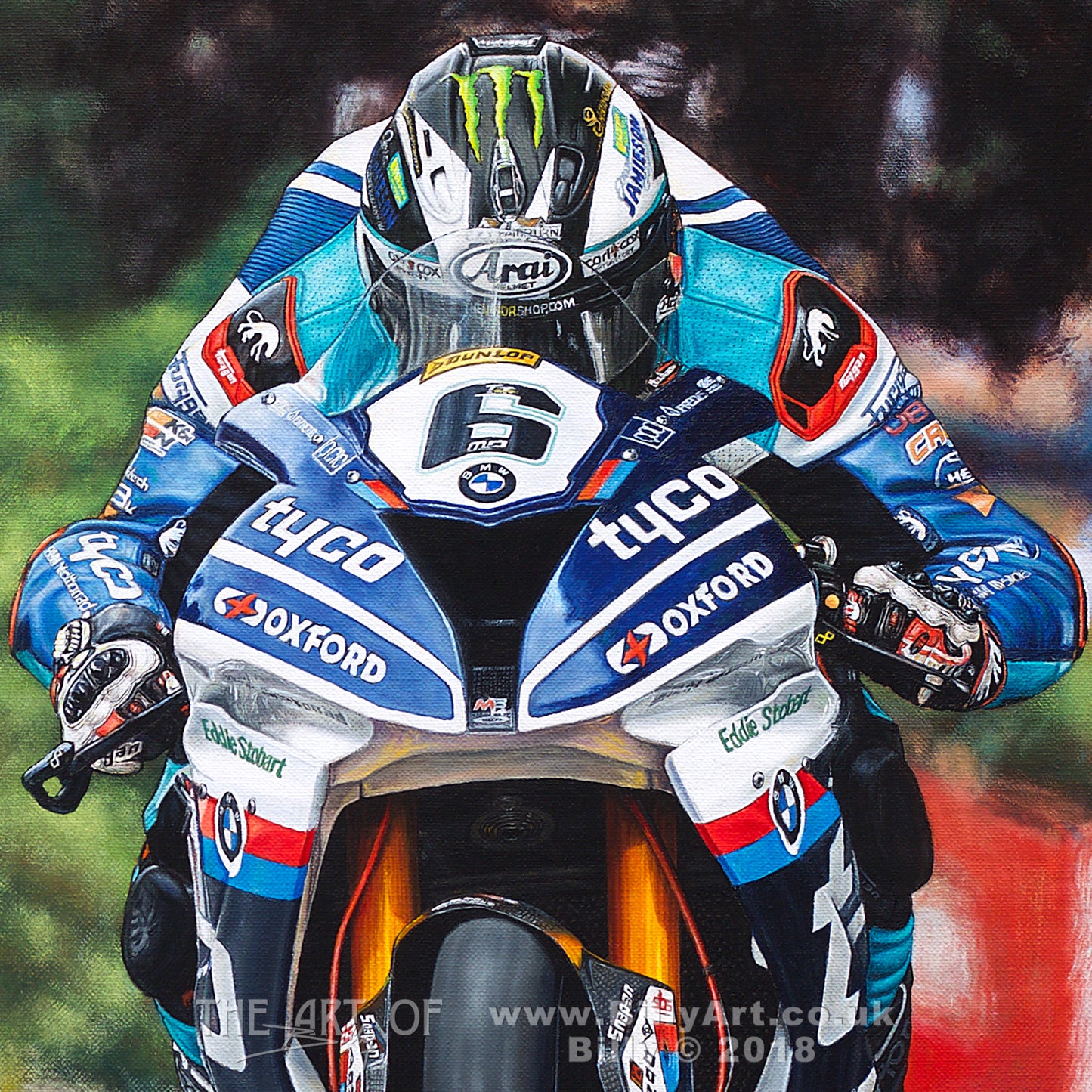 'Leaping Bull' - Michael Dunlop Tyco BMW Superbike TT