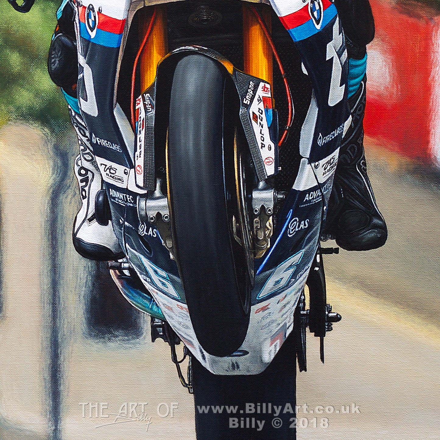 'Leaping Bull' - Michael Dunlop Tyco BMW Superbike TT