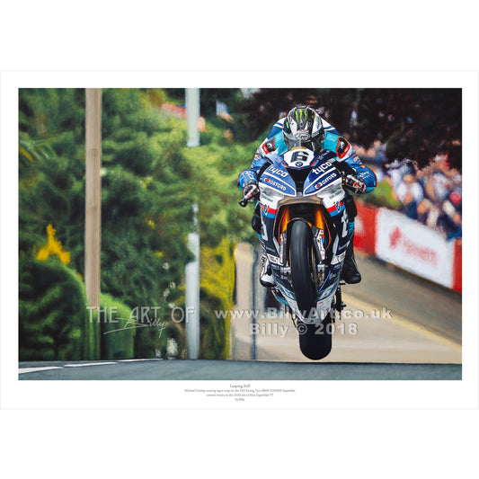 'Leaping Bull' - Michael Dunlop Tyco BMW Superbike TT